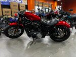 Harley (1)