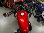 Harley (1)