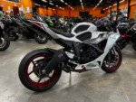 ZX6r (1)