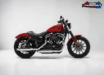 Harley (1)