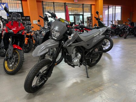 2025 KAWASAKI KLX300SM